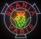 scania truck  vabis led logo + griffioen 45 x 45 cm